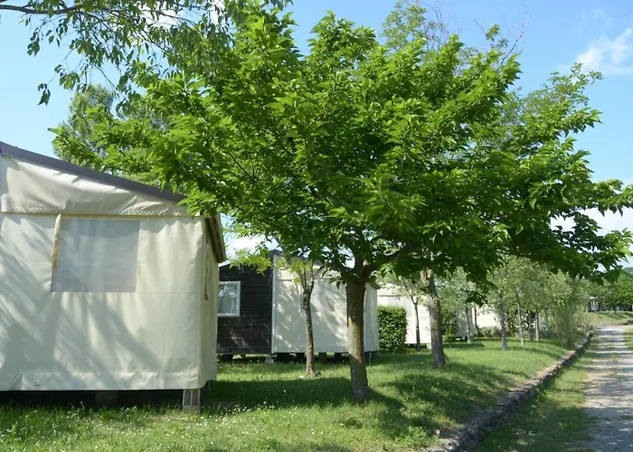 Ludocamping