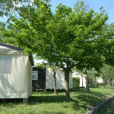 Ludocamping